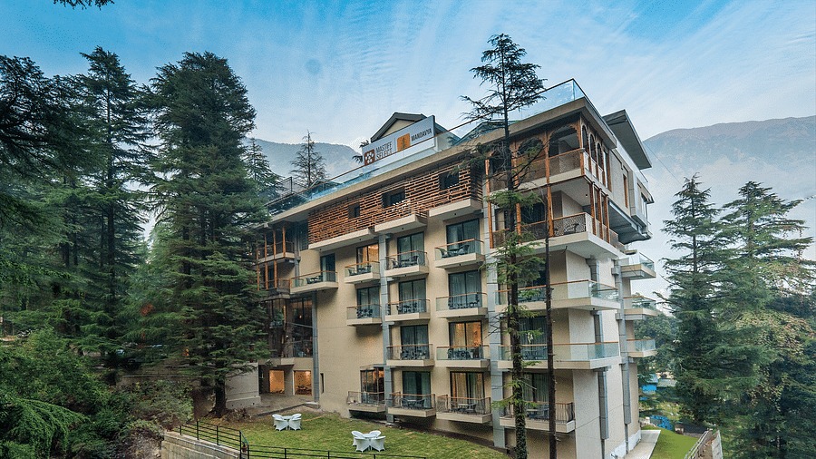 MASTIFF SELECT MANDAVYA DHARAMKOT MCLEODGANJ